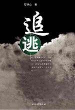 《追逃(出书版)》