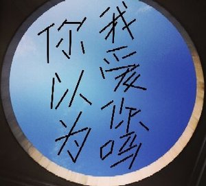 《你以为我爱你吗》
