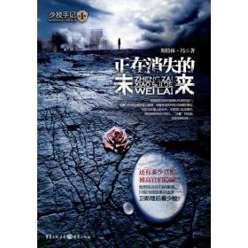 正在消失的未来（出版书）