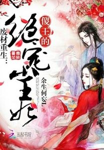 《废材重生:傻王的绝宠小王妃》
