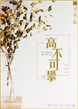 《高不可攀》