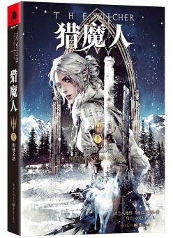 《猎魔人Ⅵ:雨燕之塔(出书版)》