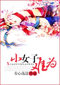 《辣文小寡妇/小女子难为》