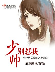少帅别惹我