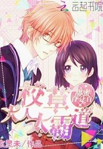 《甜蜜百分百:校草大人太霸道》