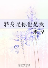 《转身是你也是我》