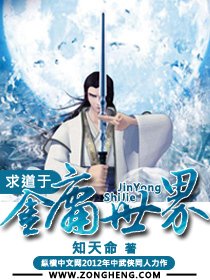 (金庸同人)求道于金庸世界