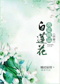 我是极品白莲花（快穿）