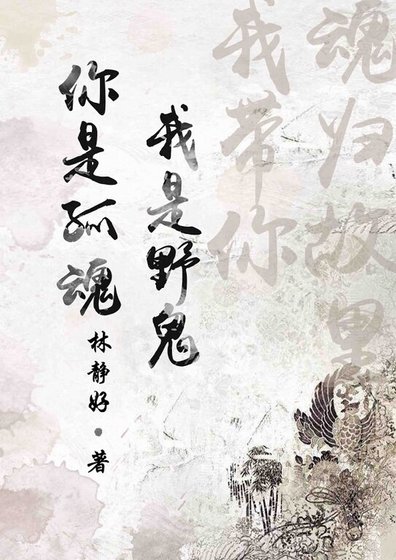 《你是孤魂我是野鬼》