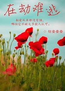 在劫难逃（GL）