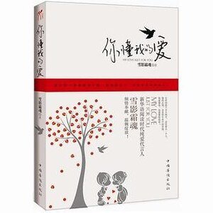 你懂我的爱/总有那么一个人（出书版）