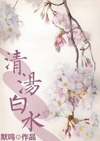 《清汤白水》