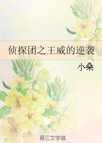《侦探团之王威的逆袭》