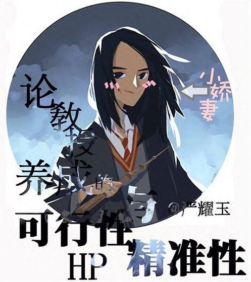 （HP同人）（HP）论教授养成的可行性与精准性