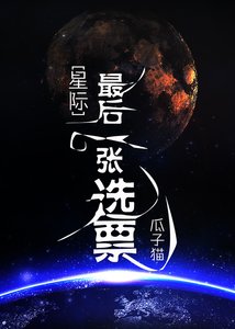 《最后一张选票》