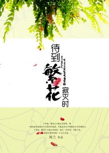 《待到繁花寂灭时》