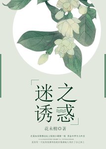 《迷之诱惑》