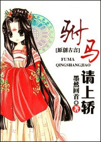 《驸马,请上轿》
