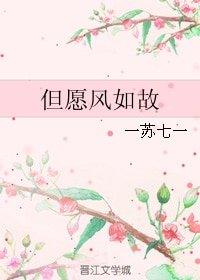 《但愿风如故》