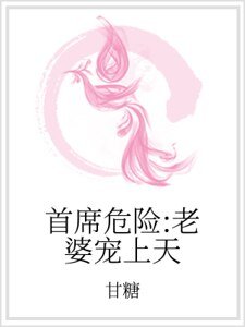 《首席危险:老婆宠上天》
