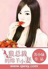 《狼总裁的绵羊小妻》