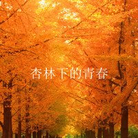 《杏林下的青春》