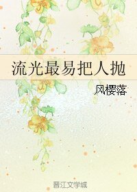 《流光最易把人抛》