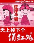 《天上掉下个俏红娘》