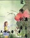 《情定双夏》