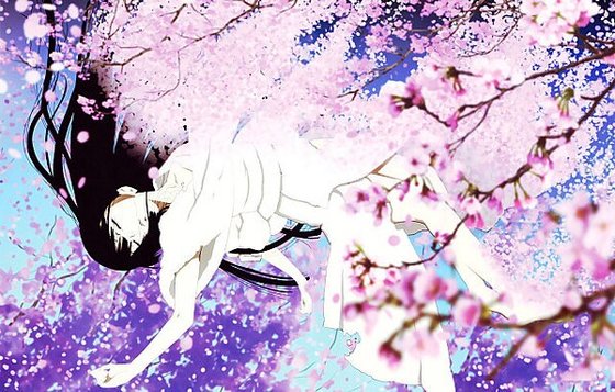 《(火影同人)灼灼其华》