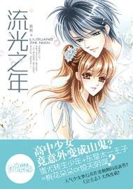 《流光之年(出书版)》