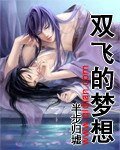 《双飞的梦想》