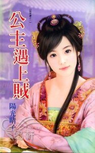 公主遇上贼（贼保镖之一）