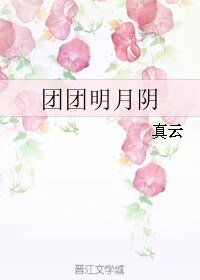 团团明月阴