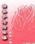《当杀手沦为保镖》