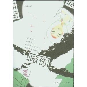 暗伤（出书版）