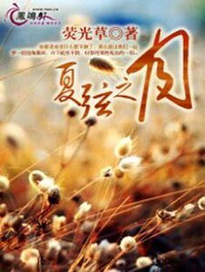 《夏弦之月》