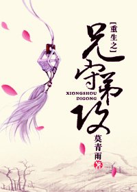 重生之兄守第攻 