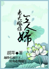 《老大嫁作三人妇》