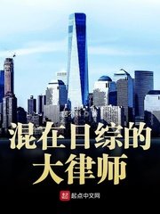 《(综同人)混在日综的大律师》