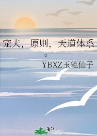 宠夫，原则，天道体系
