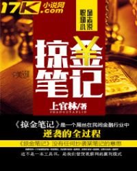 《掠金笔记》