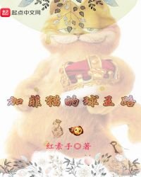 加菲猫的球王路