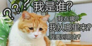 杀手怂哒哒