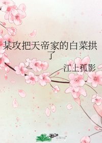 某攻把天帝家的白菜拱了