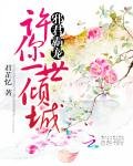 《邪君霸宠:许你一世倾城》
