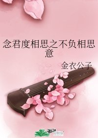 《念君度相思之不负相思意》