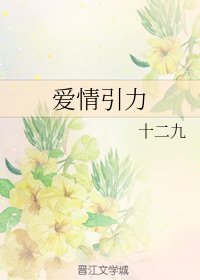《爱情引力》