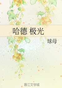 （HP同人）哈德 极光
