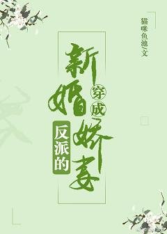 穿成反派的新婚娇妻